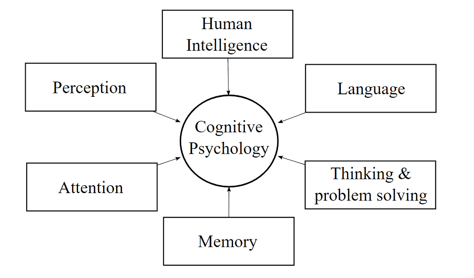 Improve Content with Cognitive Psychology