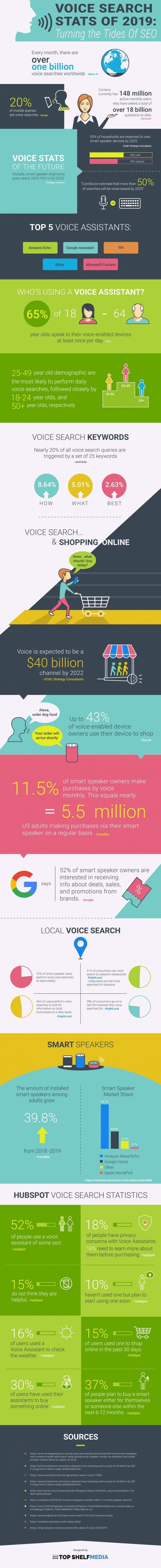 Voice Search Infographic